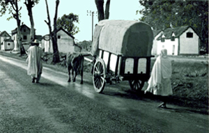 charette sur la route