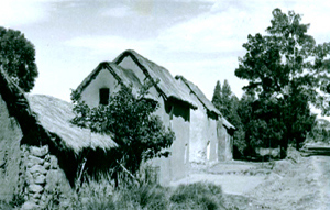 maison typique