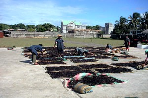 marché de la vanille